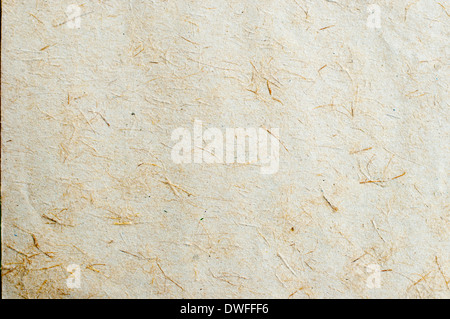 Blatt der alten braunen Bütten Stockfoto