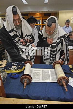 Lesen aus einer Tora-Rolle am Wochentag Morgengottesdienst Lubawitsch Hauptquartier in Brooklyn, New York. Stockfoto