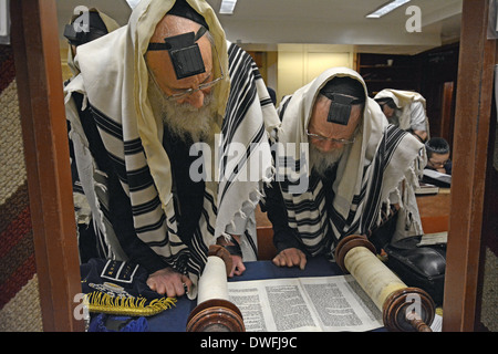 Lesen aus einer Tora-Rolle am Wochentag Morgengottesdienst Lubawitsch Hauptquartier in Brooklyn, New York. Stockfoto