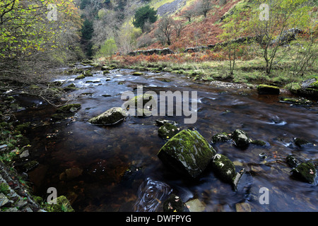 Herbst Fluss Twiss, Ingleton Wasserfälle Trail, Ingleton Dorf, Yorkshire Dales National Park, England, UK Stockfoto