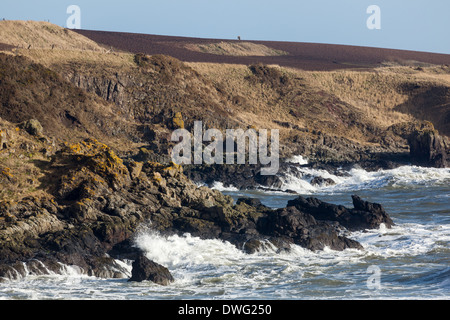 Stürmischer See stürzt in schottischen Küste in der Nähe von Montrose. N.E.Scotland UK Stockfoto