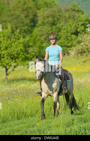 Junge Reiter auf Rückseite Connemara Pony im Frühjahr Stockfoto