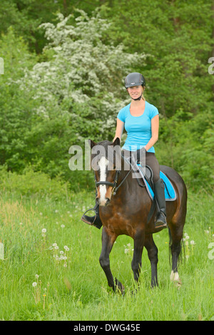 Junge Reiter auf Rückseite ein Connemara Pony traben Stockfoto