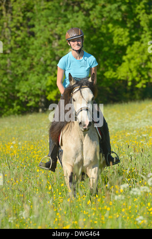 Junge Reiter auf Rückseite Connemara Pony im Frühjahr Stockfoto