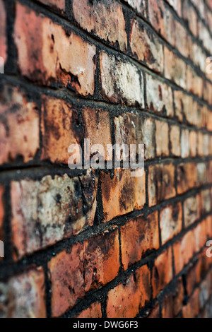 Nahaufnahme von einer Ziegelmauer Stockfoto