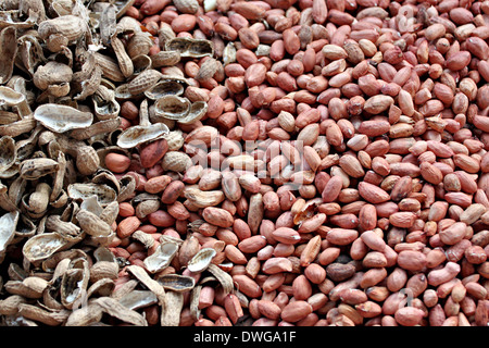 Erdnüsse geschält und Shell platziert in der Nähe. Stockfoto