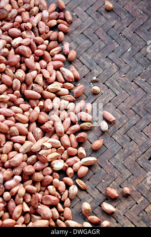 Erdnüsse geschält in Containern aufgestellt. Stockfoto