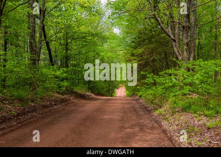 Clay Feldweg mit einem Baldachin von Laubbäumen in ländlichen Prince Edward Island, Kanada. Stockfoto