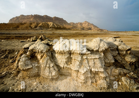 Salzformationen im Toten Meer, Israel Stockfoto