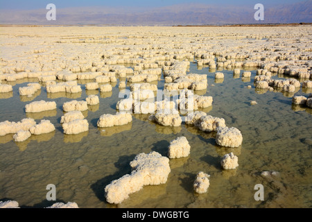 Salzformationen im Toten Meer, Israel Stockfoto