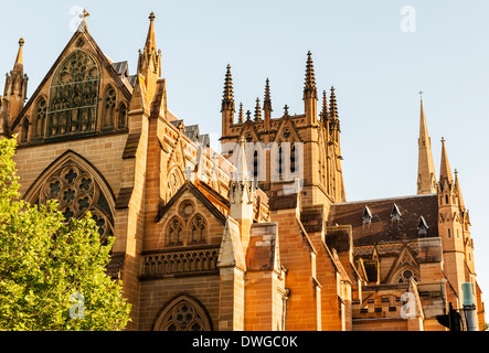 Str. Marys Kathedrale in Sydney, AUSTRALIEN, Wo der sitz von Erzbischof von Sydney ist. Stockfoto