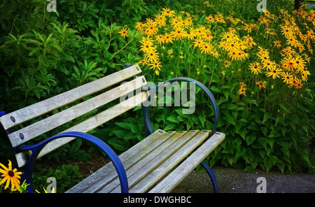 Holzbank im Garten, umgeben von viel Grün und große gelbe Blüten (Rudbeckia).  Eine warme künstlerische Textur ist angewendet worden. Stockfoto