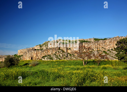 Die zyklopischen Mauern der Akropolis der antiken Tiryns ("Tiryntha"), Argolis ("Argolis"), Peloponnes, Griechenland Stockfoto