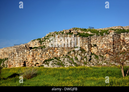 Die zyklopischen Mauern der Akropolis der antiken Tiryns ("Tiryntha"), Argolis ("Argolis"), Peloponnes, Griechenland Stockfoto