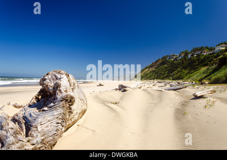 Treibholz am Strand von Lincoln City mit einer üppigen grünen Klippe mit Häuser drauf Stockfoto