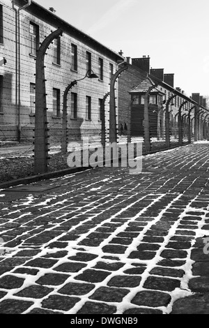 Vernichtungslager Auschwitz II-Birkenau Nazi - Polen Stockfoto