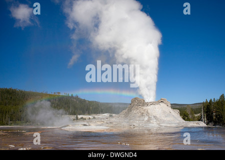 Ein Regenbogen erscheint über Castle Geyser Eruption in Upper Geyser Basin, Yellowstone-Nationalpark, Wyoming. Stockfoto