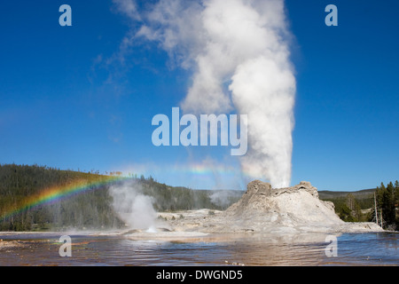 Ein Regenbogen erscheint über Castle Geyser Eruption in Upper Geyser Basin, Yellowstone-Nationalpark, Wyoming. Stockfoto