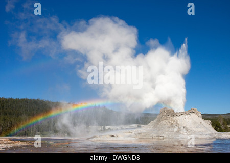 Ein Regenbogen erscheint über Castle Geyser Eruption in Upper Geyser Basin, Yellowstone-Nationalpark, Wyoming. Stockfoto