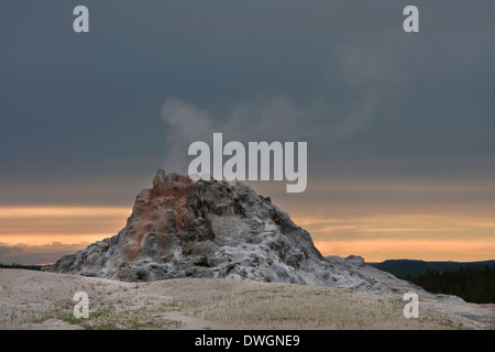 White Dome Geyser bei Sonnenuntergang entlang Firehole Lake Drive in Lower Geyser Basin, Yellowstone-Nationalpark, Wyoming. Stockfoto