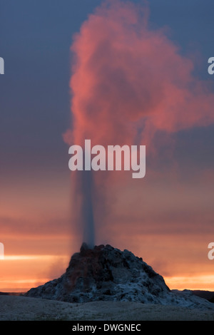 White Dome Geyser bricht bei Sonnenuntergang entlang der Firehole Lake Drive in Lower Geyser Basin, Yellowstone-Nationalpark, Wyoming. Stockfoto