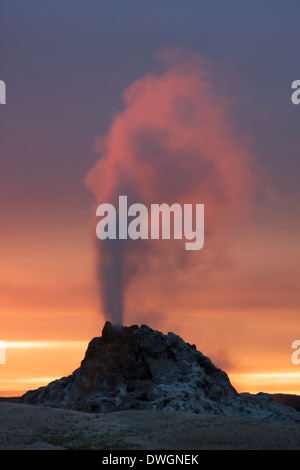 White Dome Geyser bricht bei Sonnenuntergang entlang Firehole Lake Drive in Lower Geyser Basin, Yellowstone-Nationalpark, Wyoming. Stockfoto