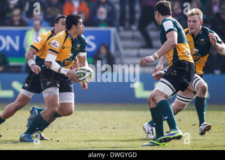 Northampton, UK. 8. März 2014. George PISI von Northampton Saints auf den ball während der LV = Cup-Halbfinale zwischen Northampton Saints und Sarazenen in Franklins Gardens. Bildnachweis: Aktion Plus Sport/Alamy Live-Nachrichten Stockfoto