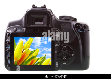 Schwarz-DSLR-Kamera von hinten über weiße Backgrouhnd isoliert Stockfoto