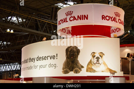 Foto ist auf der 2014 Crufts show in Birmingham UK Stockfoto