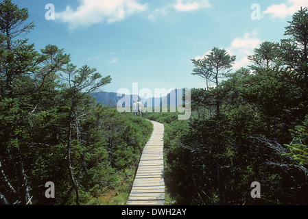 Wanderer auf Western Brook Pond Trail, Gros Morne National Park, Neufundland, Kanada Stockfoto