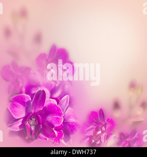 Abstrakte romantische Blumenkarte mit rosa tropische Orchidee blüht Stockfoto