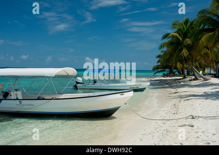 Belize, Karibik, Laughing Bird Caye Nationalpark. Stockfoto