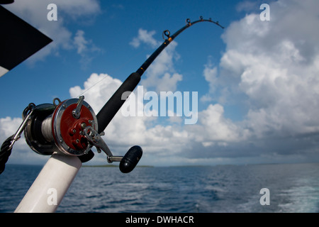 Belize, Stann Creek, Karibische Meer. Sportfischen Sie im karibischen Meer nahe der Küste Dorf Placencia. Stockfoto