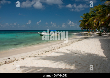 Belize, Stann Creek District. Laughing Bird Caye Nationalpark. Palm von Bäumen gesäumten tropischen Strand. Stockfoto