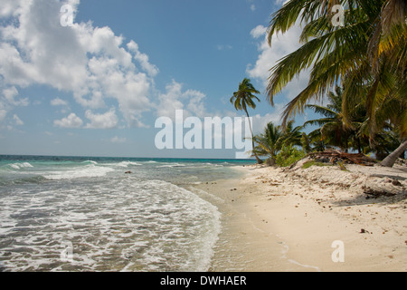 Belize, Stann Creek District. Laughing Bird Caye Nationalpark. Palm von Bäumen gesäumten tropischen Strand. Stockfoto