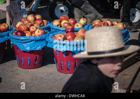 Lancaster, PA, USA. 8. März 2014. Gordonville Fire Co. jährliche Schlamm-Verkauf.  Schlamm Verkäufe sind Veranstaltungen der lokalen Freiwilligen Feuer Unternehmen Geld für Ausrüstung und Dienstleistungen.  Sie beginnen im zeitigen Frühjahr und es ist in der Regel eine jedes Wochenende im März, mit anderen über das Jahr geplant. Sie bestehen aus Auktionen und Verkauf von Landwirtschaft, Zubehör, Werkzeuge, Tiere, Steppdecken, Buggys, Gartenartikel und vieles mehr. Bildnachweis: CREATIVE COLLECTION TOLBERT Foto/Alamy Live-Nachrichten Stockfoto