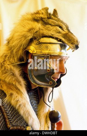 Römischer Legionär Standartenträger, Wolfskopf, Lupus, 1. Jahrhundert, Reenactment, Soldat Soldaten England UK Stockfoto