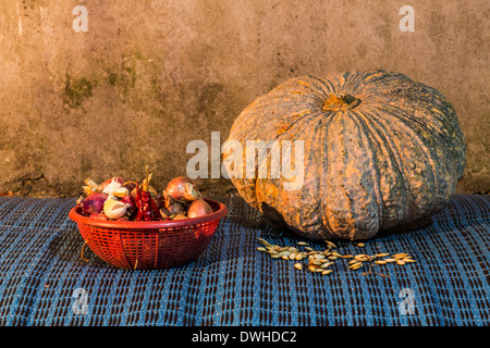 Stillleben - Kürbis, getrocknete Chili, Schalotten und Knoblauch und Kürbiskerne Stockfoto