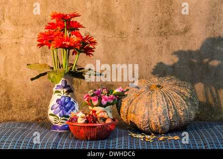 Stillleben - Kürbis, getrocknete Chili, Schalotten und Knoblauch, Kürbis Samen und Kunststoff Blume in vase Stockfoto