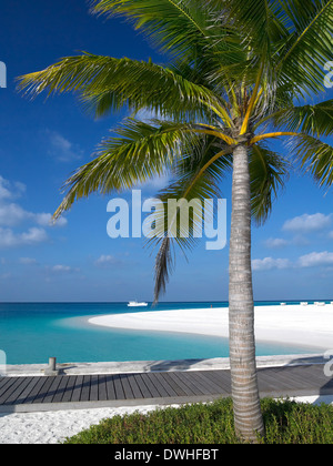 Tropical Beach Resort auf einer kleinen privaten Insel auf den Malediven im Indischen Ozean. Stockfoto