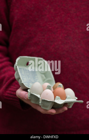 Hand mit einem Eierkarton mit Hause produziert Freilandeier Stockfoto