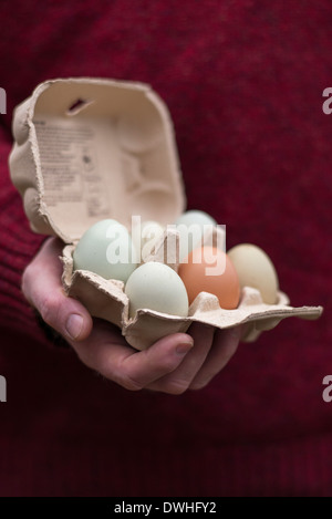 Hand mit einem Eierkarton mit Hause produziert Freilandeier Stockfoto