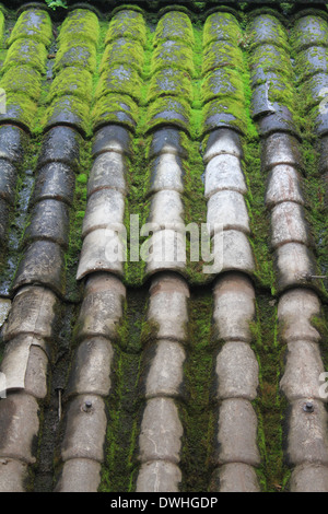Detail Kachelofen der alten Dach mit grünem Moos Stockfoto