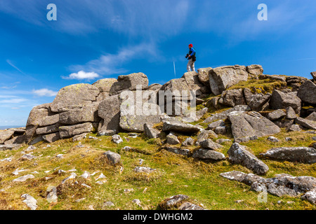 Belstone Common, Dartmoor National Park, Belstone, West Devon, England, UK, Europa. Stockfoto