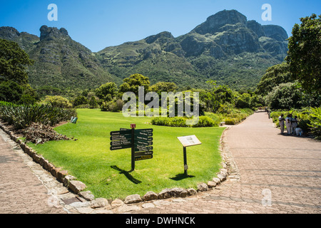 Botanical Gardens, Cape Town, Südafrika. Stockfoto