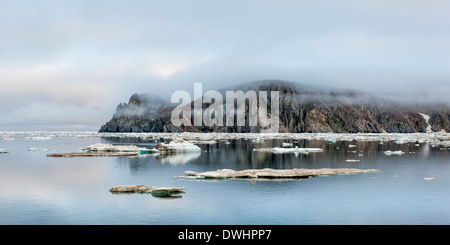 Wrangel Island - Cape Waring Stockfoto