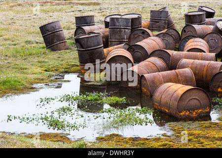 Wrangel Insel Stockfoto