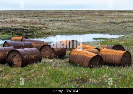 Wrangel Insel Stockfoto