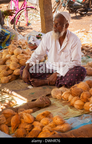 Südindien, Tamil Nadu Chettinad Karakaikudi, Farmers Market Stapel von Kokosnüssen alter Mann männlicher Verkäufer mit gekreuzten Beinen sitzender Bart wolliger Hut Stockfoto