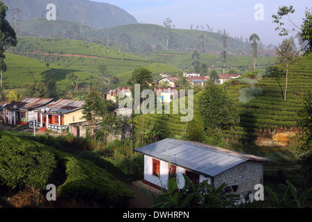 Einfache Gehäuse Gemeinschaft auf Teeplantage in der Nähe von Maskeliya im Hochland von Sri Lanka Stockfoto